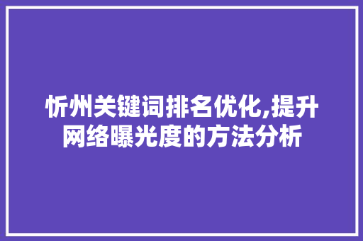 忻州关键词排名优化,提升网络曝光度的方法分析