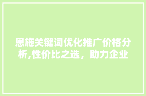 恩施关键词优化推广价格分析,性价比之选，助力企业腾飞