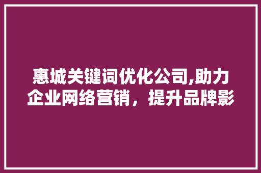 惠城关键词优化公司,助力企业网络营销，提升品牌影响力