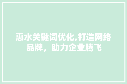 惠水关键词优化,打造网络品牌，助力企业腾飞
