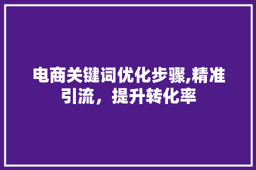 电商关键词优化步骤,精准引流，提升转化率