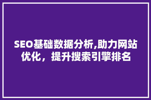 SEO基础数据分析,助力网站优化，提升搜索引擎排名