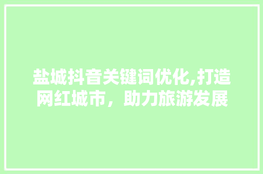 盐城抖音关键词优化,打造网红城市，助力旅游发展