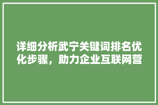 详细分析武宁关键词排名优化步骤，助力企业互联网营销