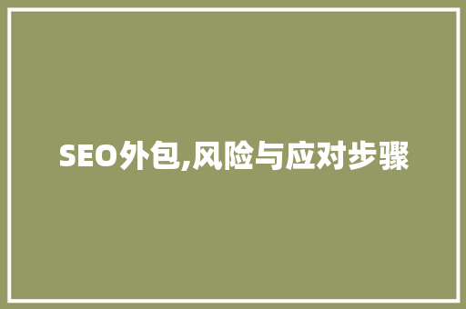 SEO外包,风险与应对步骤