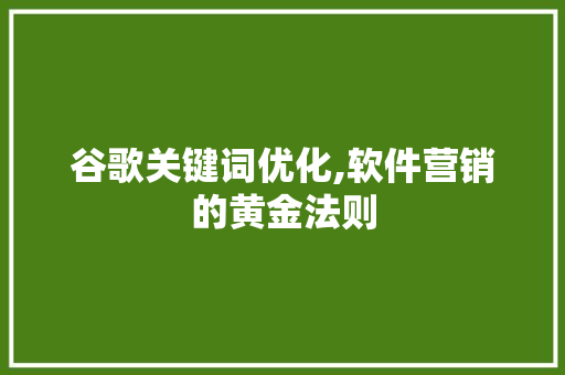 谷歌关键词优化,软件营销的黄金法则