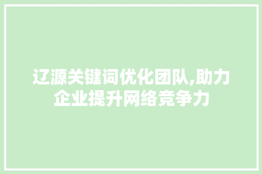 辽源关键词优化团队,助力企业提升网络竞争力