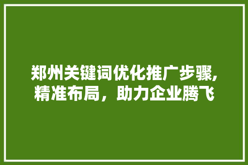 郑州关键词优化推广步骤,精准布局，助力企业腾飞