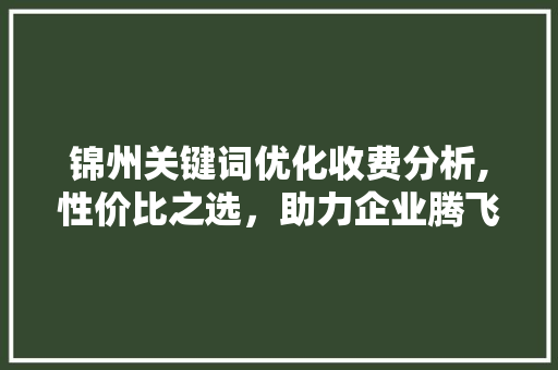 锦州关键词优化收费分析,性价比之选，助力企业腾飞