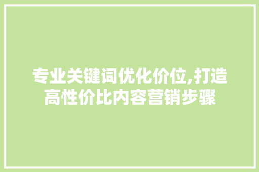 专业关键词优化价位,打造高性价比内容营销步骤