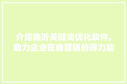 介绍临沂关键词优化软件,助力企业在线营销的得力助手