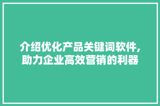 介绍优化产品关键词软件,助力企业高效营销的利器