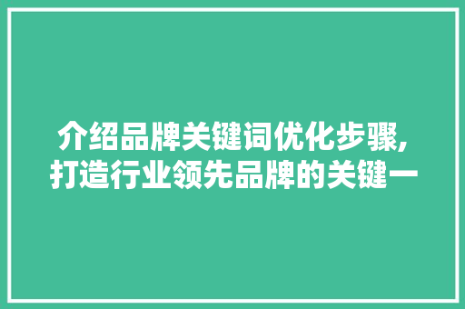 介绍品牌关键词优化步骤,打造行业领先品牌的关键一步