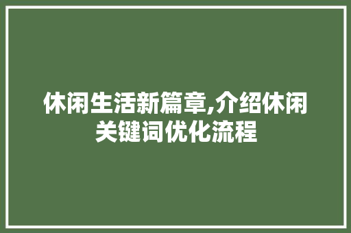 休闲生活新篇章,介绍休闲关键词优化流程