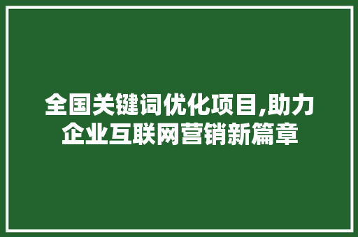 全国关键词优化项目,助力企业互联网营销新篇章