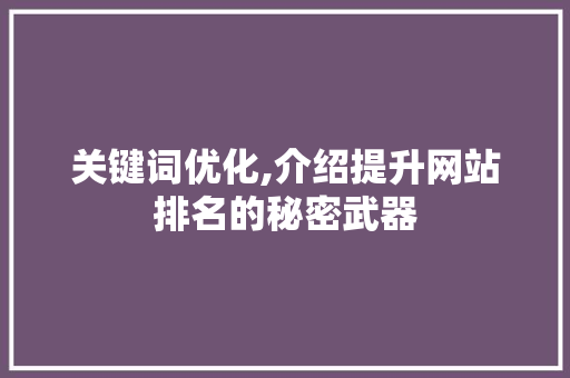 关键词优化,介绍提升网站排名的秘密武器