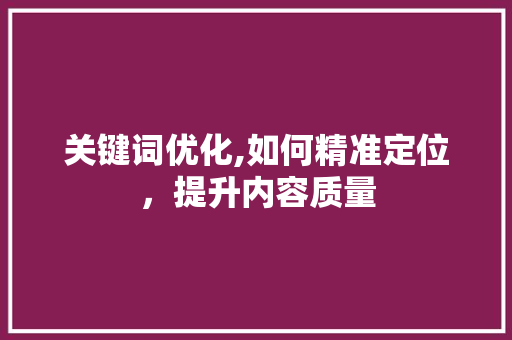 关键词优化,如何精准定位，提升内容质量