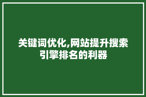 关键词优化,网站提升搜索引擎排名的利器