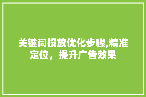 关键词投放优化步骤,精准定位，提升广告效果 WordPress教程