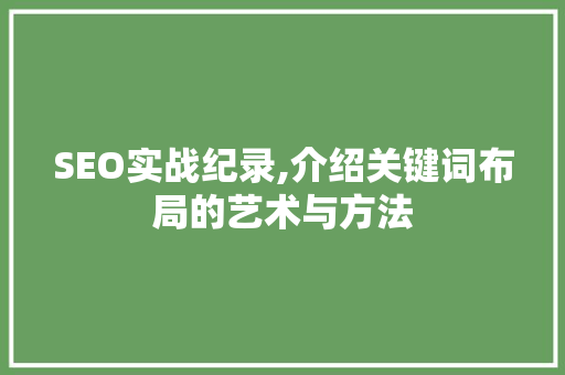 SEO实战纪录,介绍关键词布局的艺术与方法