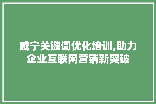 咸宁关键词优化培训,助力企业互联网营销新突破 WordPress教程
