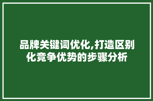 品牌关键词优化,打造区别化竞争优势的步骤分析 WordPress教程