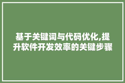基于关键词与代码优化,提升软件开发效率的关键步骤 Web前端