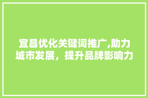 宜昌优化关键词推广,助力城市发展，提升品牌影响力