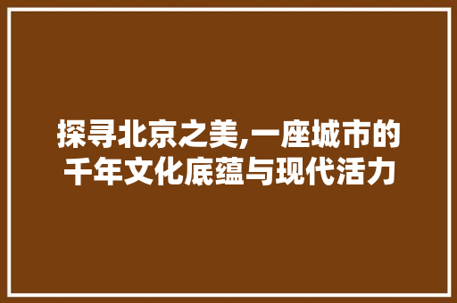 探寻北京之美,一座城市的千年文化底蕴与现代活力