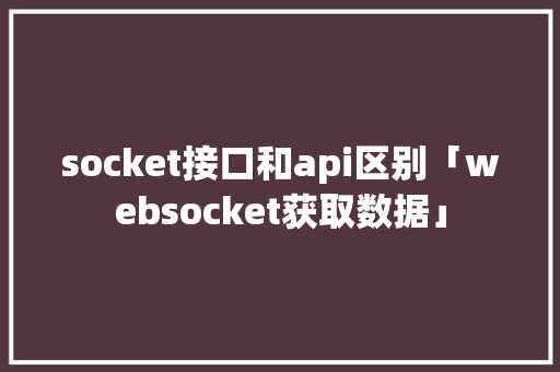 socket接口和api区别「websocket获取数据」
