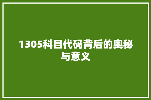 1305科目代码背后的奥秘与意义