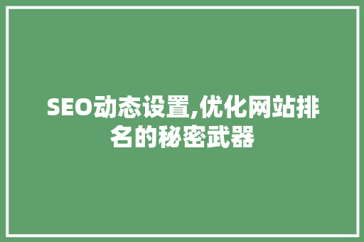 SEO动态设置,优化网站排名的秘密武器