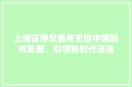 上海证券交易所见证中国股市发展，引领新时代征程