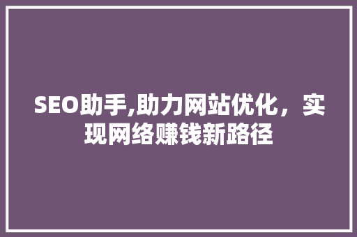SEO助手,助力网站优化，实现网络赚钱新路径