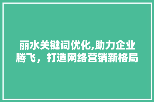 丽水关键词优化,助力企业腾飞，打造网络营销新格局