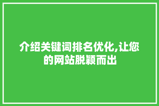 介绍关键词排名优化,让您的网站脱颖而出
