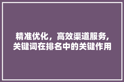精准优化，高效渠道服务,关键词在排名中的关键作用