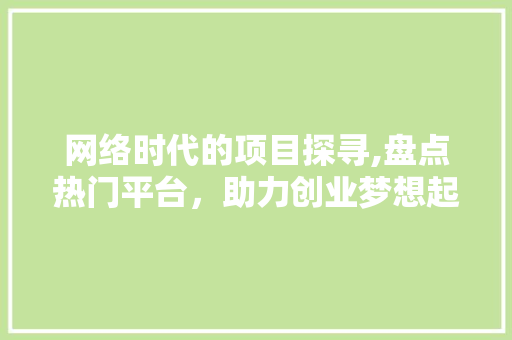 网络时代的项目探寻,盘点热门平台，助力创业梦想起航