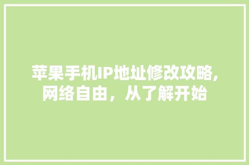 苹果手机IP地址修改攻略,网络自由，从了解开始 SEO教程