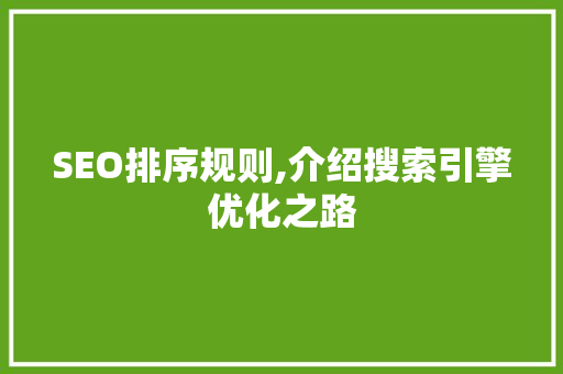 SEO排序规则,介绍搜索引擎优化之路