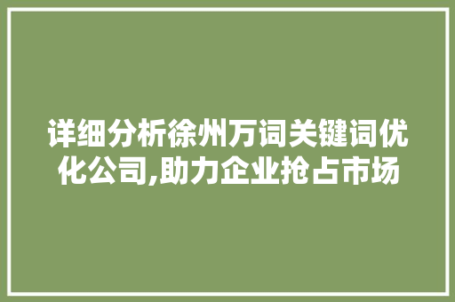详细分析徐州万词关键词优化公司,助力企业抢占市场先机 Web前端