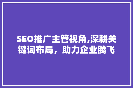SEO推广主管视角,深耕关键词布局，助力企业腾飞