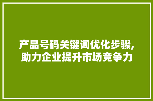 产品号码关键词优化步骤,助力企业提升市场竞争力