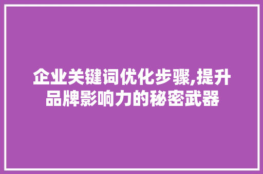 企业关键词优化步骤,提升品牌影响力的秘密武器 建站教程