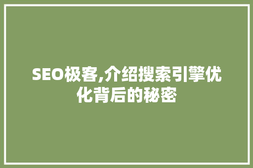 SEO极客,介绍搜索引擎优化背后的秘密