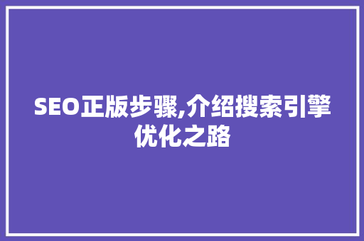 SEO正版步骤,介绍搜索引擎优化之路