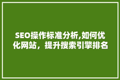 SEO操作标准分析,如何优化网站，提升搜索引擎排名
