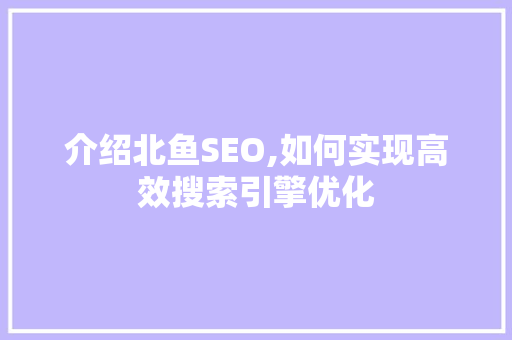 介绍北鱼SEO,如何实现高效搜索引擎优化 WordPress教程