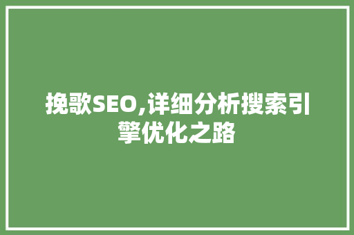 挽歌SEO,详细分析搜索引擎优化之路