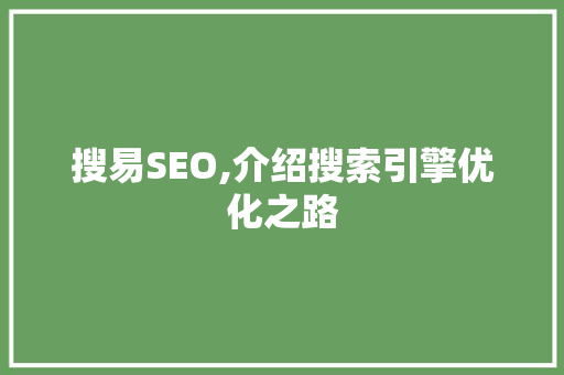 搜易SEO,介绍搜索引擎优化之路 SEO教程